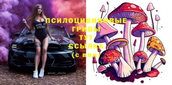 дурь Балахна