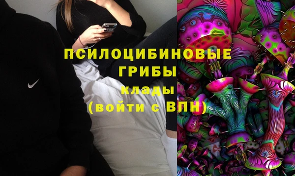 дурь Балахна